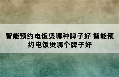 智能预约电饭煲哪种牌子好 智能预约电饭煲哪个牌子好